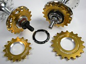 click here to visit this section of the shop